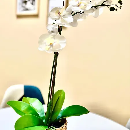 Apartment La Casa Di Totta San Maurizio Canavese